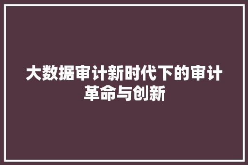 大数据审计新时代下的审计革命与创新