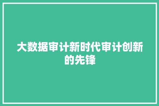 大数据审计新时代审计创新的先锋
