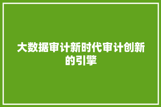 大数据审计新时代审计创新的引擎