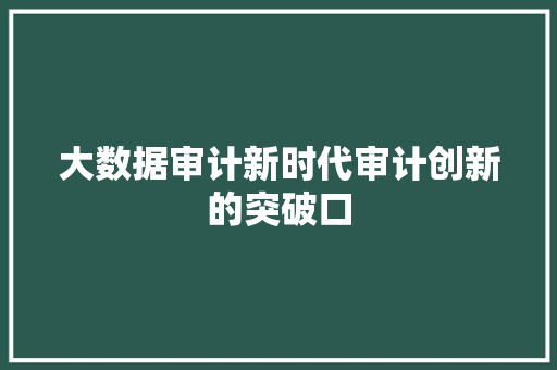 大数据审计新时代审计创新的突破口