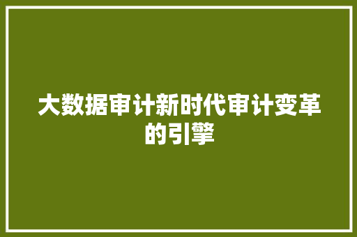大数据审计新时代审计变革的引擎