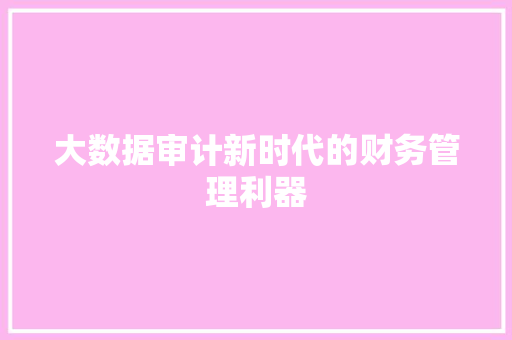 大数据审计新时代的财务管理利器