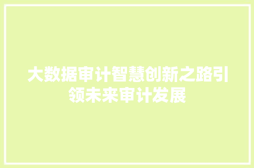 大数据审计智慧创新之路引领未来审计发展