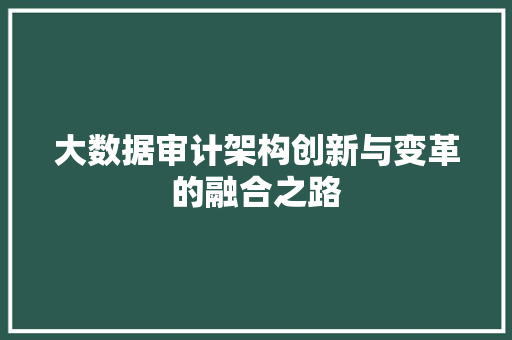 大数据审计架构创新与变革的融合之路