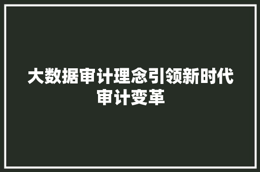 大数据审计理念引领新时代审计变革