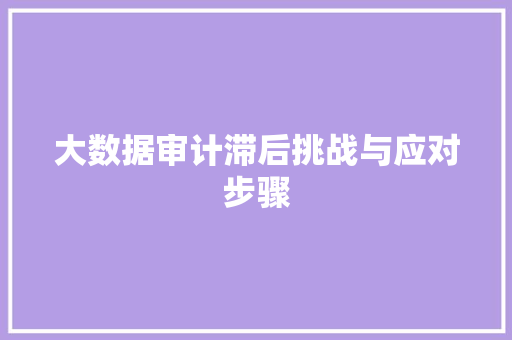 大数据审计滞后挑战与应对步骤