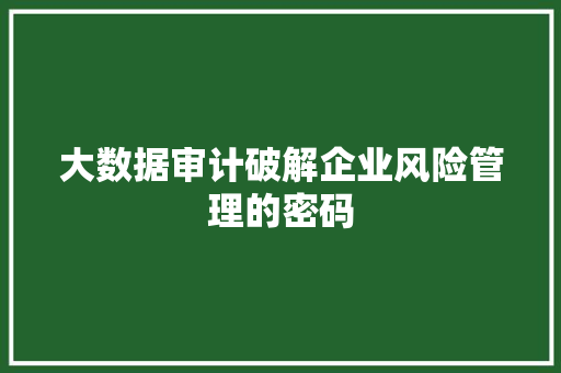 大数据审计破解企业风险管理的密码