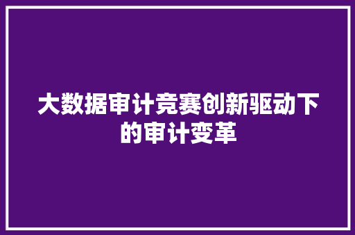 大数据审计竞赛创新驱动下的审计变革
