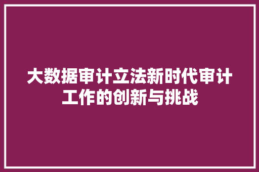 大数据审计立法新时代审计工作的创新与挑战
