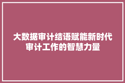 大数据审计结语赋能新时代审计工作的智慧力量