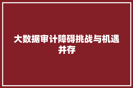 大数据审计障碍挑战与机遇并存