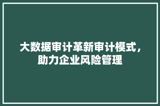 大数据审计革新审计模式，助力企业风险管理
