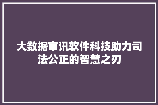 大数据审讯软件科技助力司法公正的智慧之刃