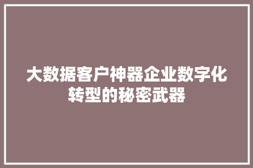 大数据客户神器企业数字化转型的秘密武器