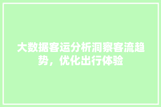 大数据客运分析洞察客流趋势，优化出行体验