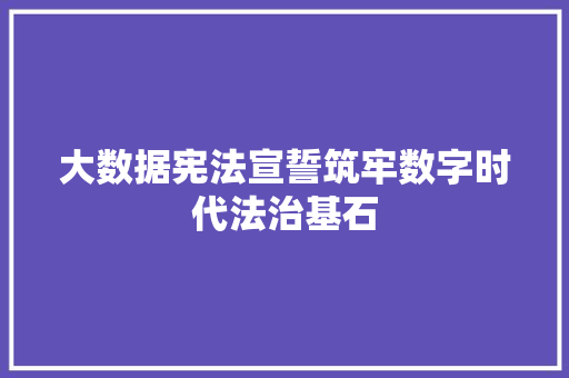 大数据宪法宣誓筑牢数字时代法治基石