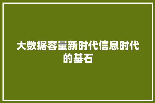 大数据容量新时代信息时代的基石