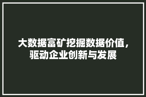 大数据富矿挖掘数据价值，驱动企业创新与发展