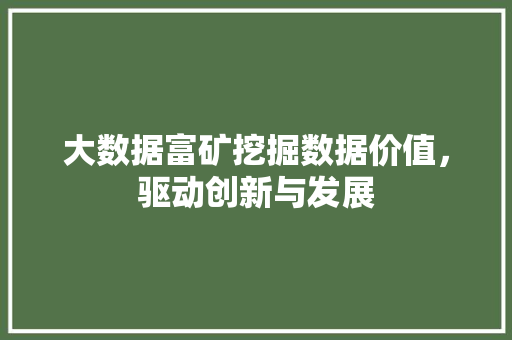 大数据富矿挖掘数据价值，驱动创新与发展