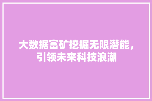 大数据富矿挖掘无限潜能，引领未来科技浪潮