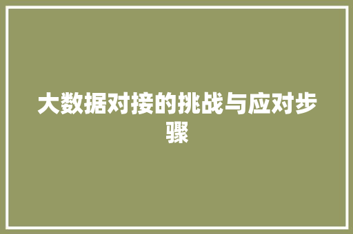 大数据对接的挑战与应对步骤  第1张
