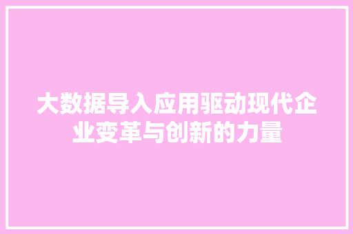 大数据导入应用驱动现代企业变革与创新的力量