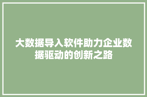 大数据导入软件助力企业数据驱动的创新之路