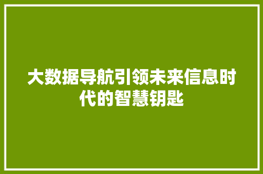 大数据导航引领未来信息时代的智慧钥匙  第1张