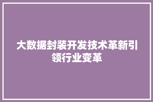 大数据封装开发技术革新引领行业变革