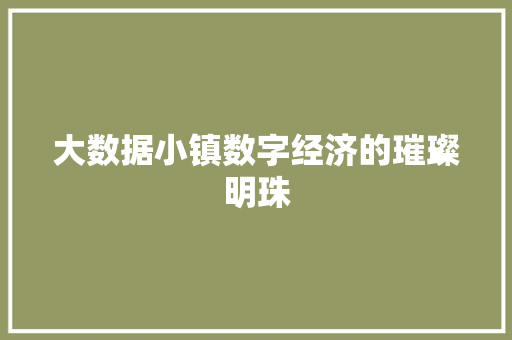 大数据小镇数字经济的璀璨明珠