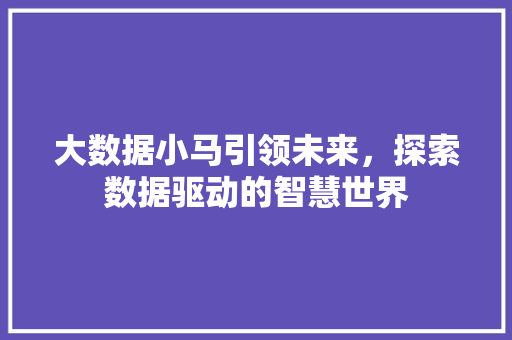 大数据小马引领未来，探索数据驱动的智慧世界