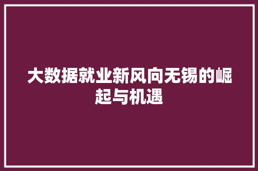 大数据就业新风向无锡的崛起与机遇