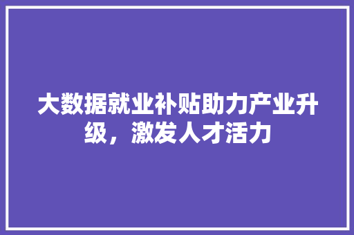 大数据就业补贴助力产业升级，激发人才活力