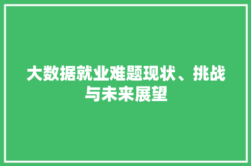 大数据就业难题现状、挑战与未来展望