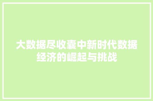大数据尽收囊中新时代数据经济的崛起与挑战