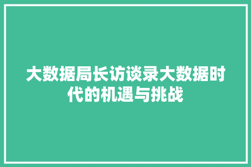 大数据局长访谈录大数据时代的机遇与挑战