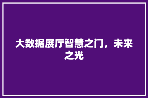 大数据展厅智慧之门，未来之光  第1张