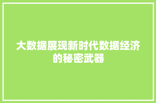 大数据展现新时代数据经济的秘密武器