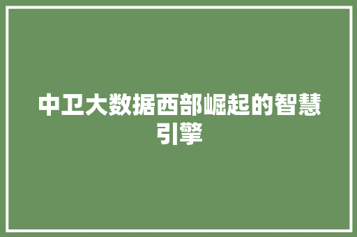 中卫大数据西部崛起的智慧引擎