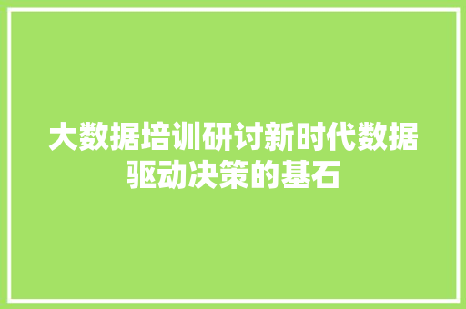 大数据培训研讨新时代数据驱动决策的基石