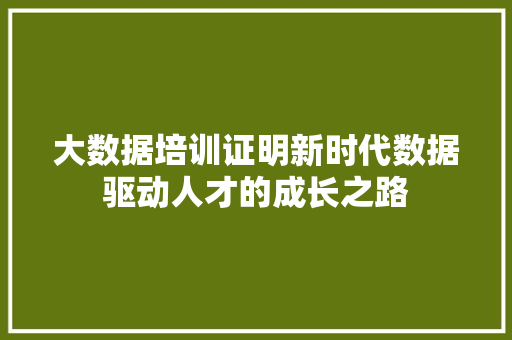 大数据培训证明新时代数据驱动人才的成长之路  第1张