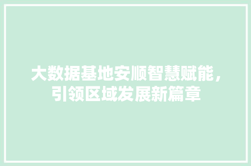 大数据基地安顺智慧赋能，引领区域发展新篇章