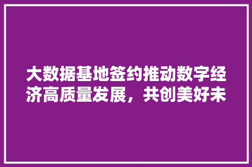 大数据基地签约推动数字经济高质量发展，共创美好未来  第1张