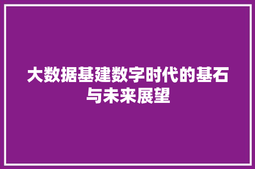 大数据基建数字时代的基石与未来展望  第1张
