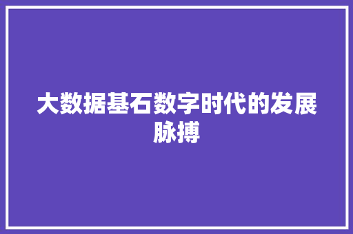 大数据基石数字时代的发展脉搏  第1张