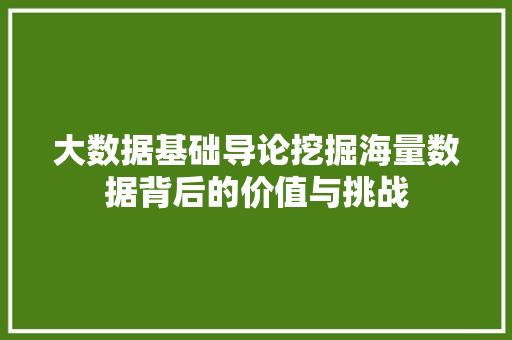 大数据基础导论挖掘海量数据背后的价值与挑战  第1张