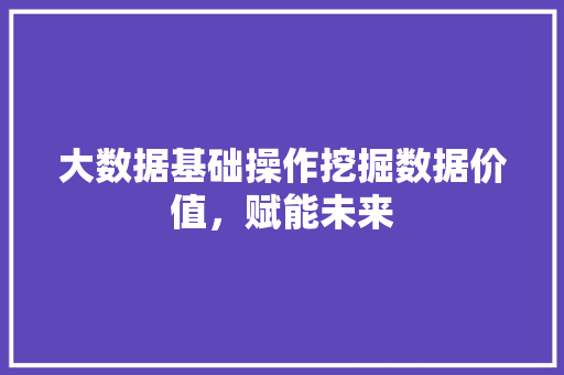 大数据基础操作挖掘数据价值，赋能未来  第1张