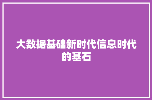 大数据基础新时代信息时代的基石  第1张