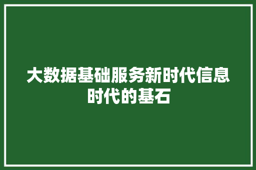 大数据基础服务新时代信息时代的基石  第1张