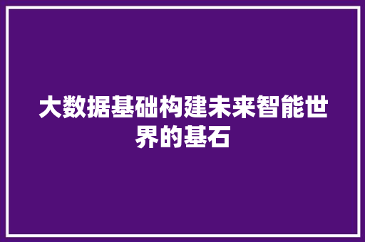 大数据基础构建未来智能世界的基石  第1张